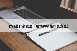 pva是什么意思（职场PVA是什么意思）