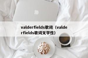 valderfields歌词（valderfields歌词文学性）