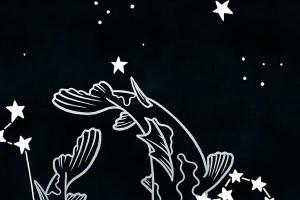 11月2日天蝎上升星座是什么