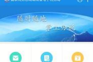 湖南省国家电子税务局（湖南个人所得税app官网）