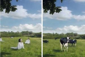 韩牛奶广告将女性描绘成奶牛惹众怒（网友：恶心）