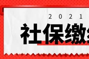上海社保计算器2024（社保基数计算公式2024上海）