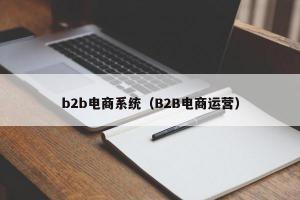 b2b电商系统（B2B电商运营）