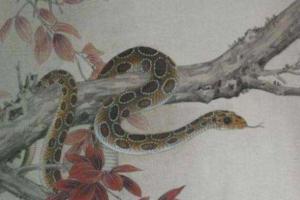原创家中有属蛇人4月鲤鱼跳龙门特别是65年77年的